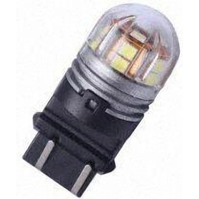 Backup Light by PUTCO LIGHTING - C3156A pa10