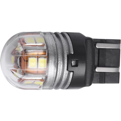 Backup Light by PUTCO LIGHTING - C7443W pa1