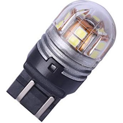 Backup Light by PUTCO LIGHTING - C7443W pa12