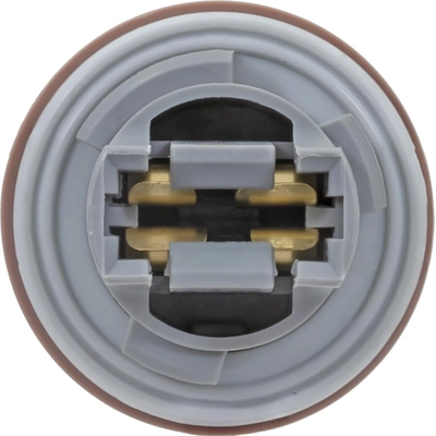 Backup Light Socket by BLUE STREAK (HYGRADE MOTOR) - S2643 pa1