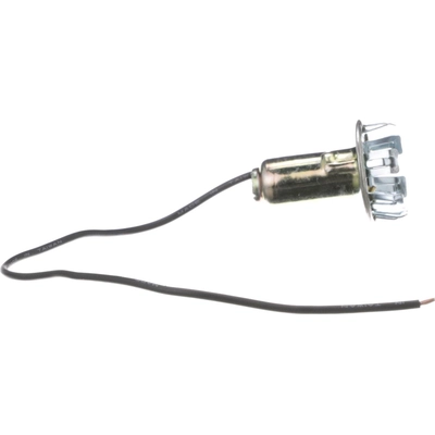 BLUE STREAK (HYGRADE MOTOR) - S45N - Backup Light Socket pa11
