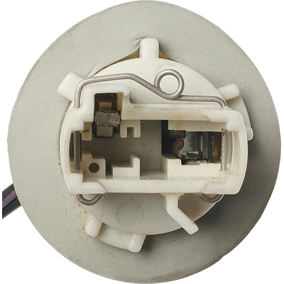 Backup Light Socket by BLUE STREAK (HYGRADE MOTOR) - S856 pa5