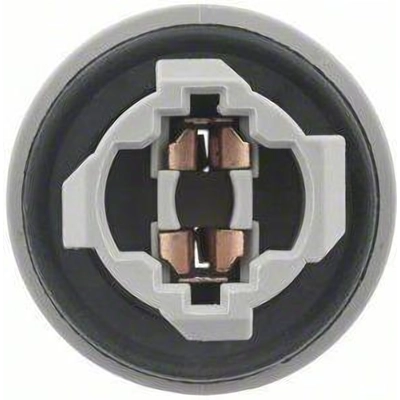 Backup Light Socket by BLUE STREAK (HYGRADE MOTOR) - HP3995 pa18