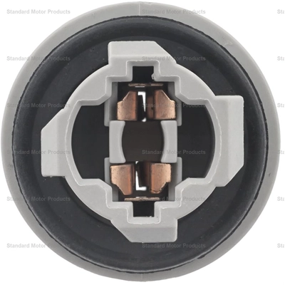 Backup Light Socket by BLUE STREAK (HYGRADE MOTOR) - HP3995 pa2