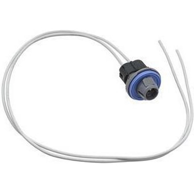 Backup Light Socket by BLUE STREAK (HYGRADE MOTOR) - HP4555 pa12