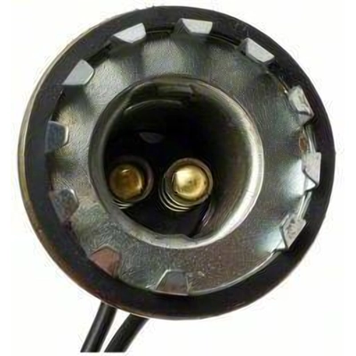 Backup Light Socket by BLUE STREAK (HYGRADE MOTOR) - HP4590 pa19