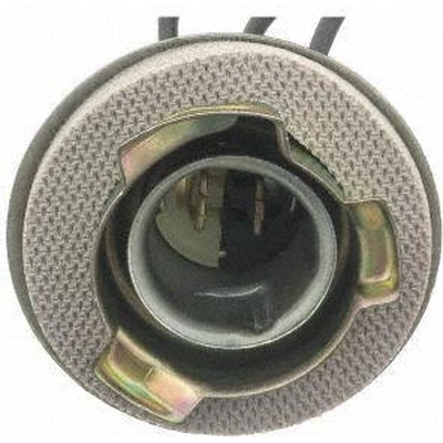 Backup Light Socket by BLUE STREAK (HYGRADE MOTOR) - HP4690 pa5