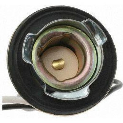 Prise de lumière de feu de recul de BLUE STREAK (HYGRADE MOTOR) - S501 pa21