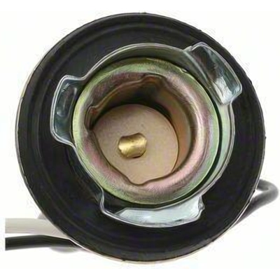 Backup Light Socket by BLUE STREAK (HYGRADE MOTOR) - S501 pa26