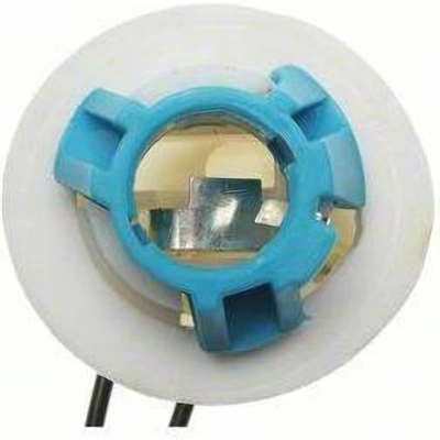 Backup Light Socket by BLUE STREAK (HYGRADE MOTOR) - S509 pa25