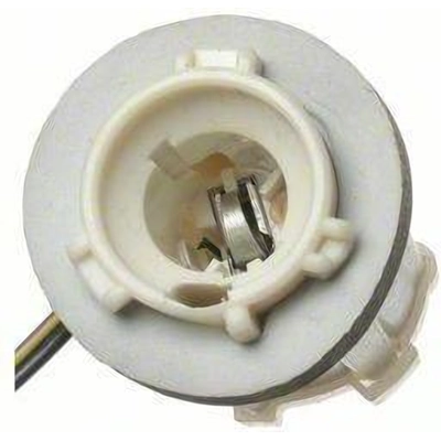 Backup Light Socket by BLUE STREAK (HYGRADE MOTOR) - S572 pa29