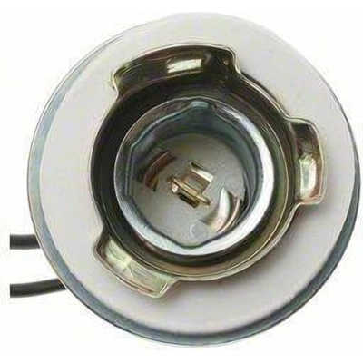 Backup Light Socket by BLUE STREAK (HYGRADE MOTOR) - S71 pa24