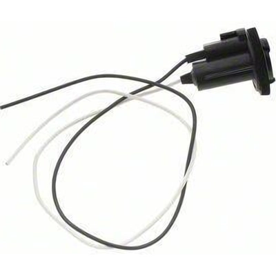 Backup Light Socket by BLUE STREAK (HYGRADE MOTOR) - S768 pa21