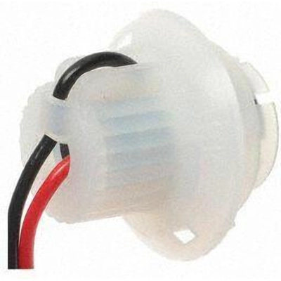 Backup Light Socket by BLUE STREAK (HYGRADE MOTOR) - S858 pa13