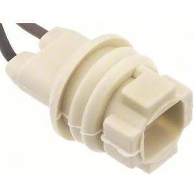 Backup Light Socket by BLUE STREAK (HYGRADE MOTOR) - S99 pa16