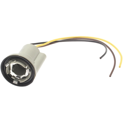 BWD AUTOMOTIVE - PT53 - Tail Lamp Socket pa1
