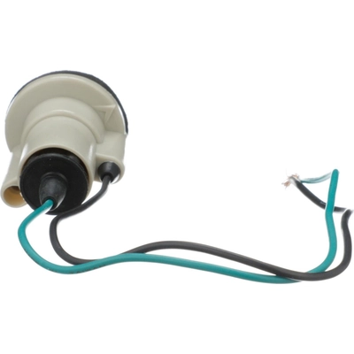STANDARD - PRO SERIES - S63 - Back Up Light Socket pa8