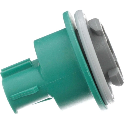 STANDARD - PRO SERIES - S810 - Back Up Light Socket pa4