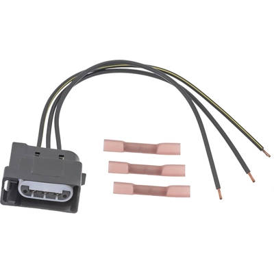 BLUE STREAK (HYGRADE MOTOR) - S895 - Front Parking and Turn Signal Light Connector pa4