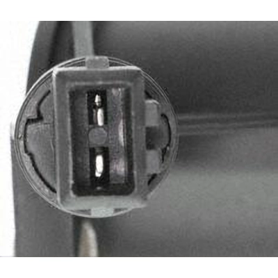 Interrupteur de lumière de feu de recul par VEMO - V10-73-0125 pa4