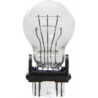 Backup Light (Pack of 2) by WAGNER - BP3157 pa1