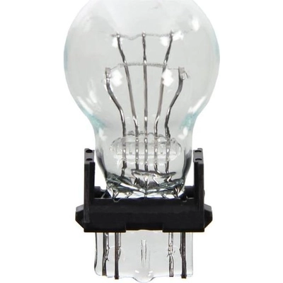 Backup Light by WAGNER - BP3057LL pa2