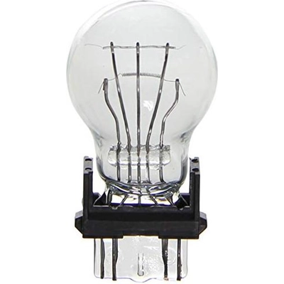 Lumière de reculon de WAGNER - BP3157 pa19