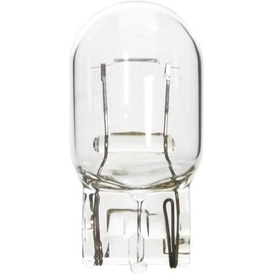 Lumière de reculon de WAGNER - BP7440 pa9