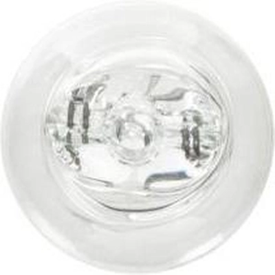 Backup Light by WAGNER - BP921LL pa13