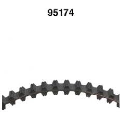 Balance Shaft Belt by DAYCO - 95174 pa2