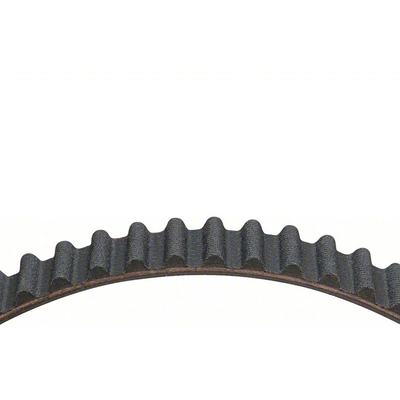 DAYCO - 95186 - Balance Shaft Belt pa10