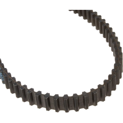 DAYCO - 95293 - Balance Shaft Belt pa3