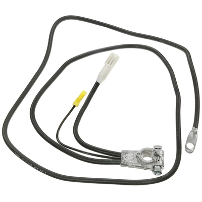 BLUE STREAK (HYGRADE MOTOR) - A66-6C - Battery Cable pa1