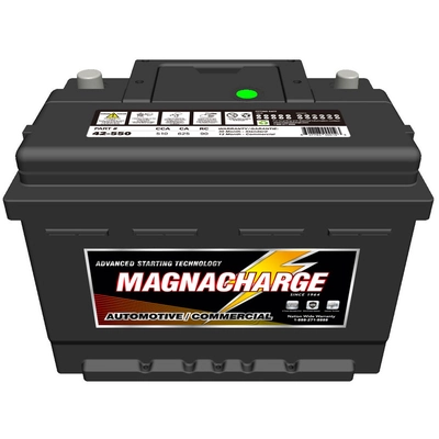 MAGNACHARGE BATTERY - 42-550 - Automotive Starting Top Terminal-12 Volt pa2