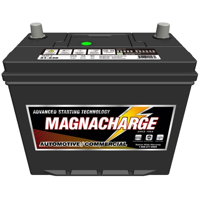 MAGNACHARGE BATTERY - MS51-530 - Automotive Starting Top Terminal-12 Volt pa1