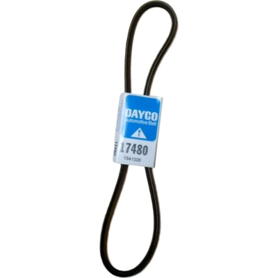 Belt by DAYCO - 17480 pa15