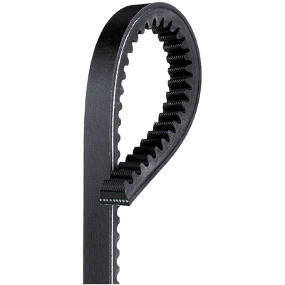 GATES - TR22386 - Belt pa1