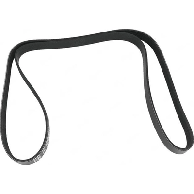 Belt by SKP - SKK060650 pa1