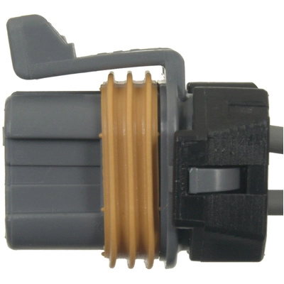 BLUE STREAK (HYGRADE MOTOR) - S1016 - HVAC Control Module Connector pa2