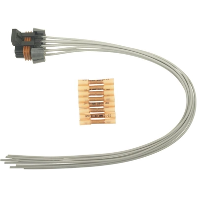 Body Harness Connector by BLUE STREAK (HYGRADE MOTOR) - S1130 pa20