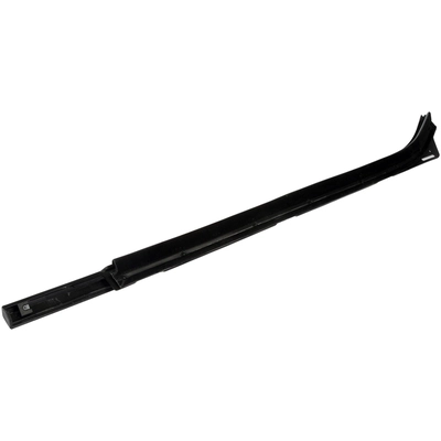 DORMAN - 25808 - Door Belt Molding pa1