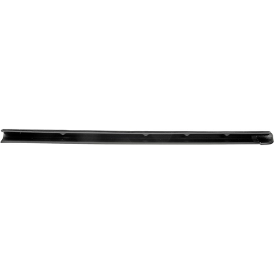 DORMAN - 25859 - Door Belt Molding pa2