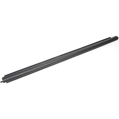 DORMAN - 25860 - Door Belt Molding pa1