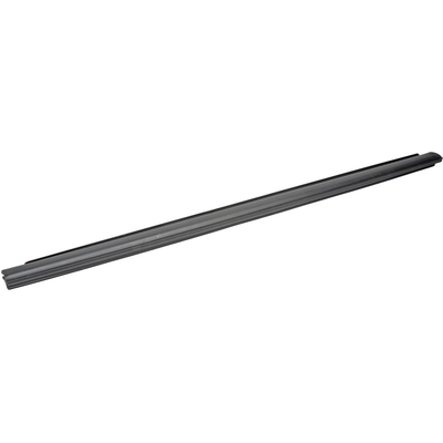 DORMAN - 25861 - Door Belt Molding pa1