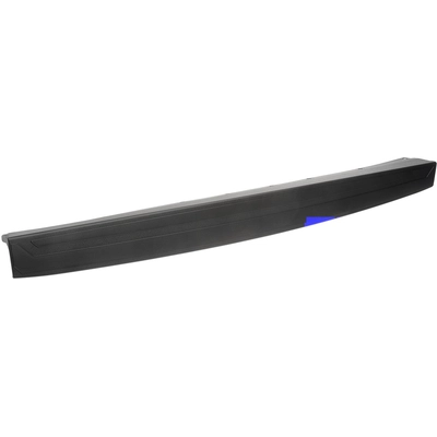DORMAN - 925-624 - Tailgate Molding Assembly pa1