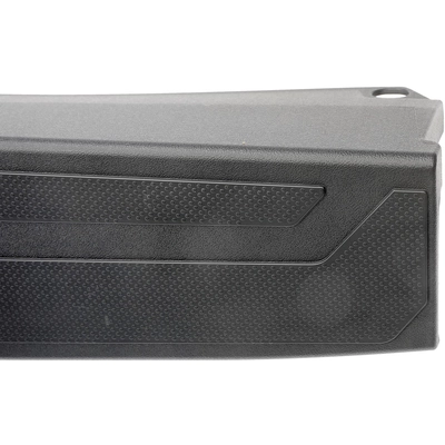 DORMAN - 925-624 - Tailgate Molding Assembly pa2