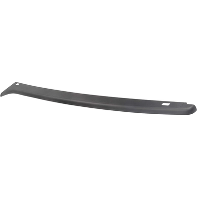 DORMAN - 926-914 - Truck Bed Molding pa1