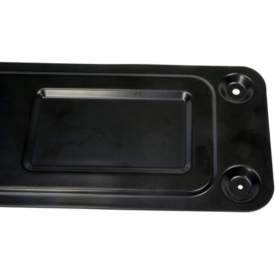 Body Molding by DORMAN - 927925 pa2