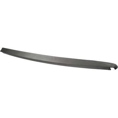 DORMAN (OE SOLUTIONS) - 926-917 - Truck Bed Molding pa1
