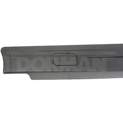 Body Molding by DORMAN (OE SOLUTIONS) - 926-920 pa3